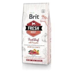 Brit Fresh Beef & Pumpkin Puppy Large
