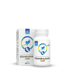 ChondroJunior tabletki na stawy 120 szt.