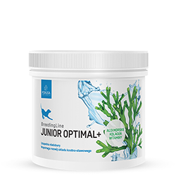 BreedingLine JuniorOptimal+ Pokusa - Najlepsza-karma.pl