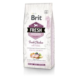  Brit Fresh Chicken & Potato Puppy Healthy Growth