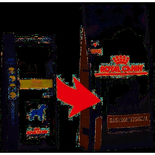 Royal Canin Gastro High Fibre – Zdrowa Karma dla Psa