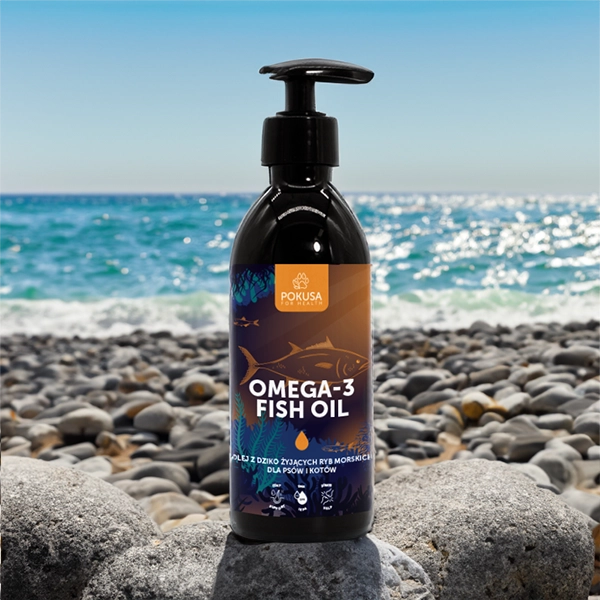 Olej Omega 3 Pokusa na plaży z oceanem w tle