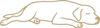 Nieaktywny